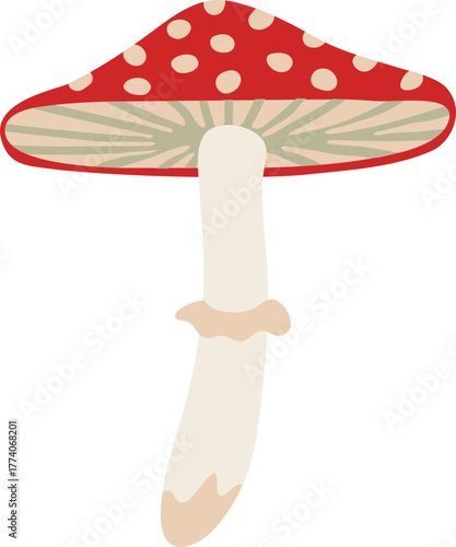 fly agaric mushroom