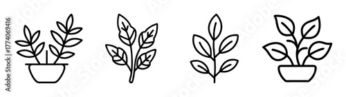 Line art illustration of potted plants and foliage for botanical design and decoration elements