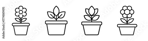 Flower pot plants vector illustration, botanical line art drawing of flowers in pots for garden decor