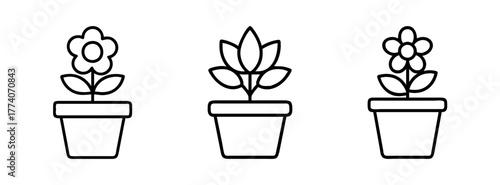 Illustration of potted flowers vector drawing for flower shop floral design and botanical art prints