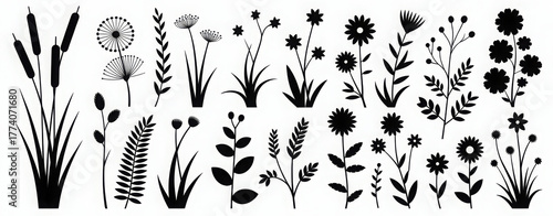 Collection of black floral silhouettes vector illustration of various flowers and plants isolated on white background
