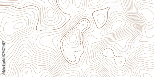 Topographic gold luxury map background. Geographic abstract pattern. Abstract mountain terrain map background with abstract shape line texture. Design illustration for wall art, fabric, packaging.