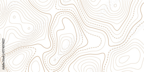 Topographic gold luxury map background. Geographic abstract pattern. Abstract mountain terrain map background with abstract shape line texture. Design illustration for wall art, fabric, packaging.