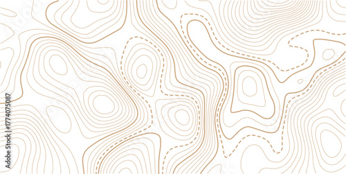 Topographic gold luxury map background. Geographic abstract patter.Abstract mountain terrain map background with abstract shape line texture. Design illustration for wall art, packaging, web, banner.
