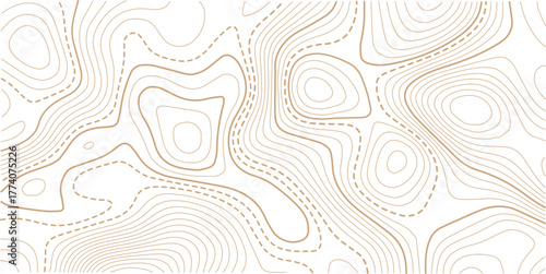 Seamless Light topographic topo contour map background, vector illustration.Modern design with White background with topographic wavy pattern design. 
