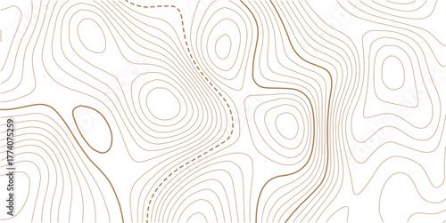 Topographic gold luxury map background. Geographic abstract pattern. Modern design with White background with topographic wavy pattern design. 