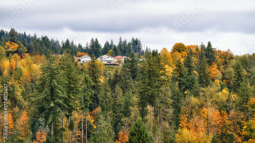 Fototapeta Naklejka Na Ścianę i Meble -  Mountain-top Residence in Fall Colours