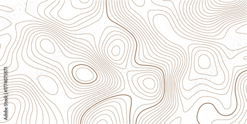 Abstract topo contour map on white background, Topographic map Topographic contour lines map seamless patter.artography terrain contour lines backdrop for website, presentations.