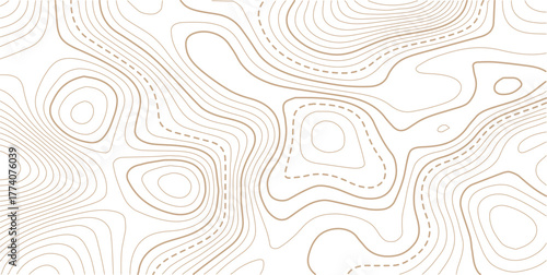 Topographic gold luxury map background. Geographic abstract pattern. Modern design with White background with topographic wavy pattern design. 