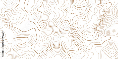 Image of moving shapes at christmas on white background. christmas, winter, tradition and celebration concept digitally generated image. Dense lines, Background of the topographic map. 
