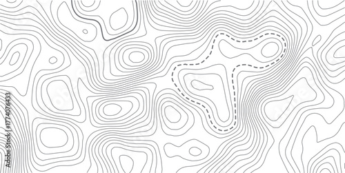 Topographic map background. Geographic line map with elevation assignments.Topographic lines, contour background. topo map texture. Dense lines, Background of the topographic map.