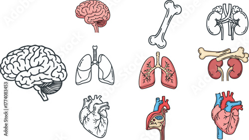 Healthy lifestyle icons set medical wellness vector illustration