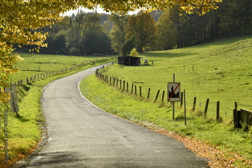 Route de campagne traversant une zone de pâturage à Sosoye (Anhée-Dinant)