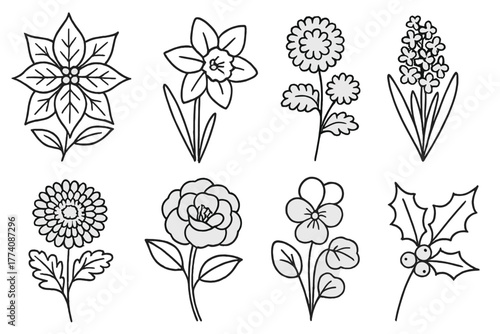 Seasonal Flower Icons. Line style icons of Seasonal flowers: poinsettia, daffodil, marigold, chrysanthemum, hyacinth, camellia,