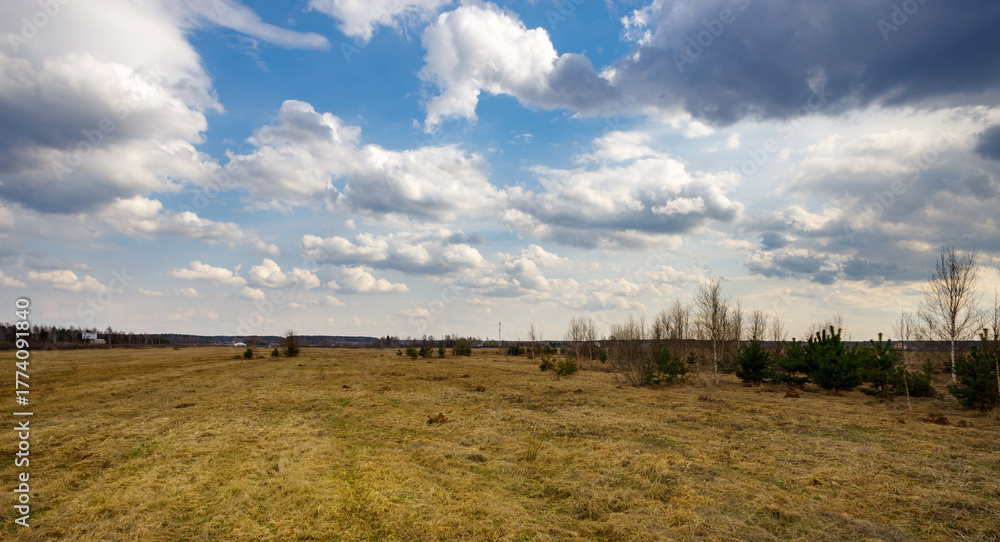 Obraz premium Field with a few trees and a cloudy sky
