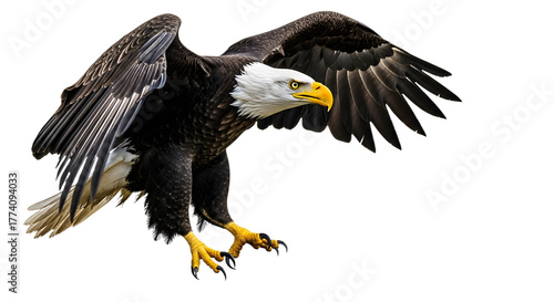 Isolated bald eagle flying on white background ,  Bald Eagle flying with American flag 