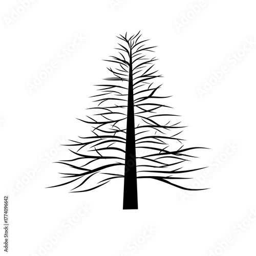 Pine tree outline. Forest nature symbol. Linear plant vector. Black drawing element.