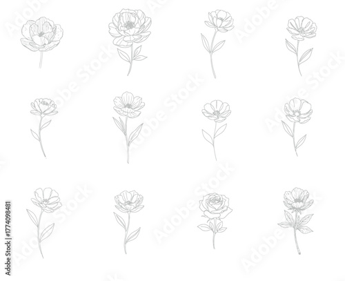 Elegant floral line art collection, perfect for delicate designs or invitations
