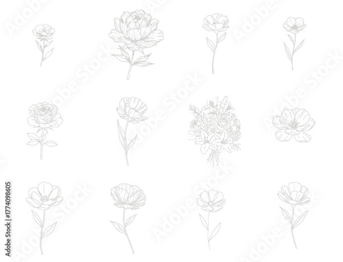 Delicate floral assortment showcases intricate line art on a pristine surface