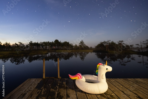 Inflatable unicorn float on a wooden dock under a clear, starry night sky reflected in a calm dark lake.