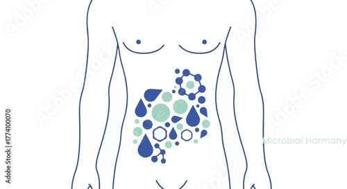 Gut Microbiome Balance — Minimalist Flat Vector Torso with Abstract Bacteria Symbols 