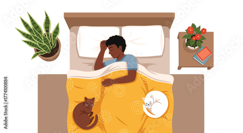 Person sleeping with cats