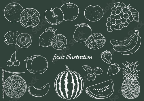 手描きの果物のセット線画_黒板風_ベクターイラスト