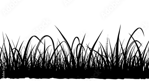 Grassy meadow silhouette illustration, a detailed black plant graphic isolated on a white backdrop for nature designs