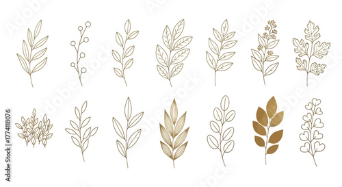 Elegant hand-drawn botanical illustrations featuring various delicate leaf and berry sprigs in a warm, earthy color palette