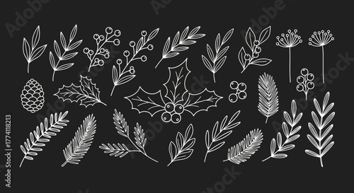 Elegant Hand-Drawn Botanical Elements Perfect for Winter Holiday Designs, Invitations, and Greetings