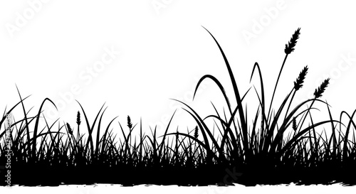 Silhouette of Grass and Wild Plants for Design and Backgrounds, Nature Elements, Black and White