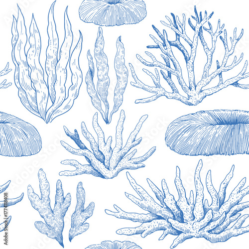 Monochrome elegant seamless pattern with corals and seaweeds. Hand-drawn illustration in classic engraving style.