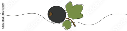 Black Currant in one line art style. Drawing of a whole currant berry with a twig and leaves, with editable black stroke and color on white background. Vector illustration.