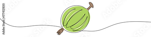 Gooseberry in one line art style. Drawing of a whole gooseberry fruit with stem remnants, with editable black stroke and color on white background. Vector illustration.