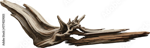 Textured natural wooden driftwood with interesting organic shapes and patterns