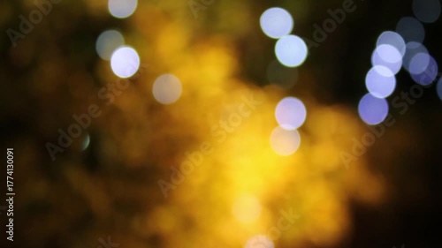 close-up of yellow autumn lights with a blurred background 