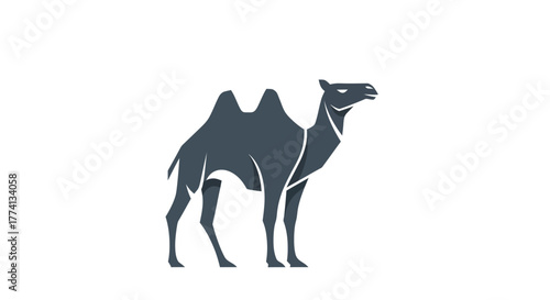 Stylized camel silhouette illustration on white background for design