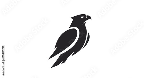 Black silhouette of a soaring bird of prey on white background graphic design