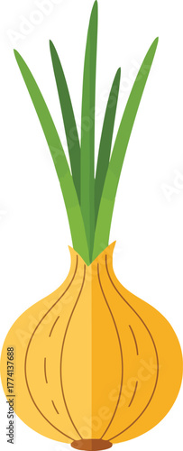Fresh yellow onion with green sprouts isolated on white clean food ingredient healthy eating organic produce vector