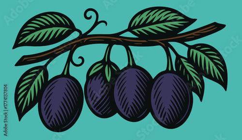 Passion Fruits on a Textured Branch linocut illustration bold black white retro botanical design for packaging label food ingredient vector art vintage etching style clear background