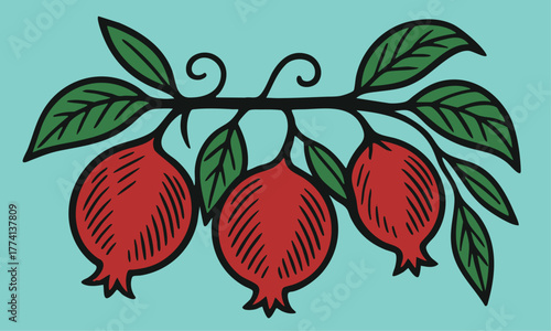 Pomegranates on Curved Branch linocut illustration bold black white retro botanical design for packaging label food ingredient vector art vintage etching style clear background