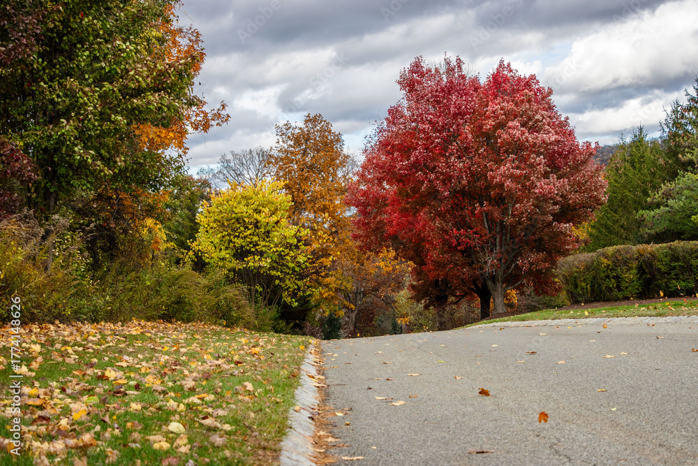 Naklejka premium rural road on a windy day