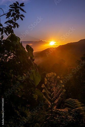 Sunrise over the mountains with lush greenery and golden light illuminating the landscape in a serene setting