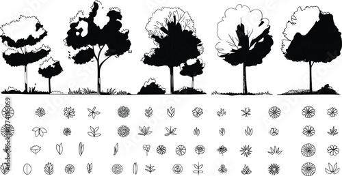 Tree silhouettes with leaf and flower grid, botanical reference chart, foliage identification, nature study, educational plant guide, ecology illustration, biology resource