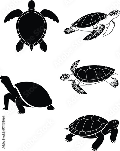 Turtle and tortoise silhouettes, black animal icons, aquatic and land species, shell shapes, nature graphics, minimal wildlife design, vector reptile set