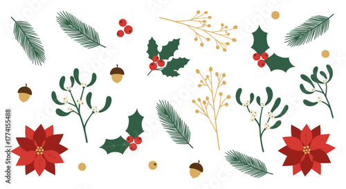 A festive collection of hand-drawn winter botanicals including poinsettia, holly, mistletoe, and pine branches for Christmas design