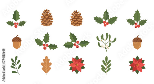 A diverse assortment of winter holiday botanical illustrations. This set features classic Christmas plant icons like holly, pinecones, poinsettia, and acorns for festive design