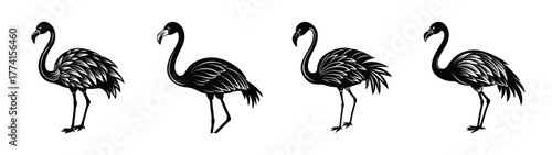 Black flamingo illustration set vector, flamingo drawing, flamingo silhouette, flamingo art print