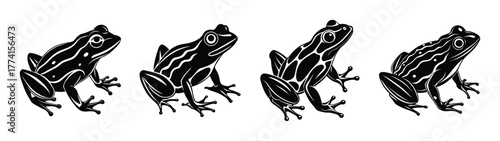 Striped poison dart frog illustration black and white vector amphibian wildlife graphic design art