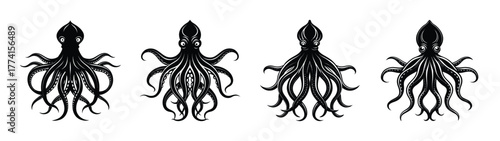 Discover black and white squid illustrations vector art featuring ocean wildlife and sea creatures design elements